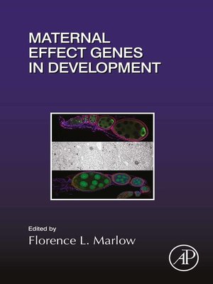 cover image of Maternal Effect Genes in Development